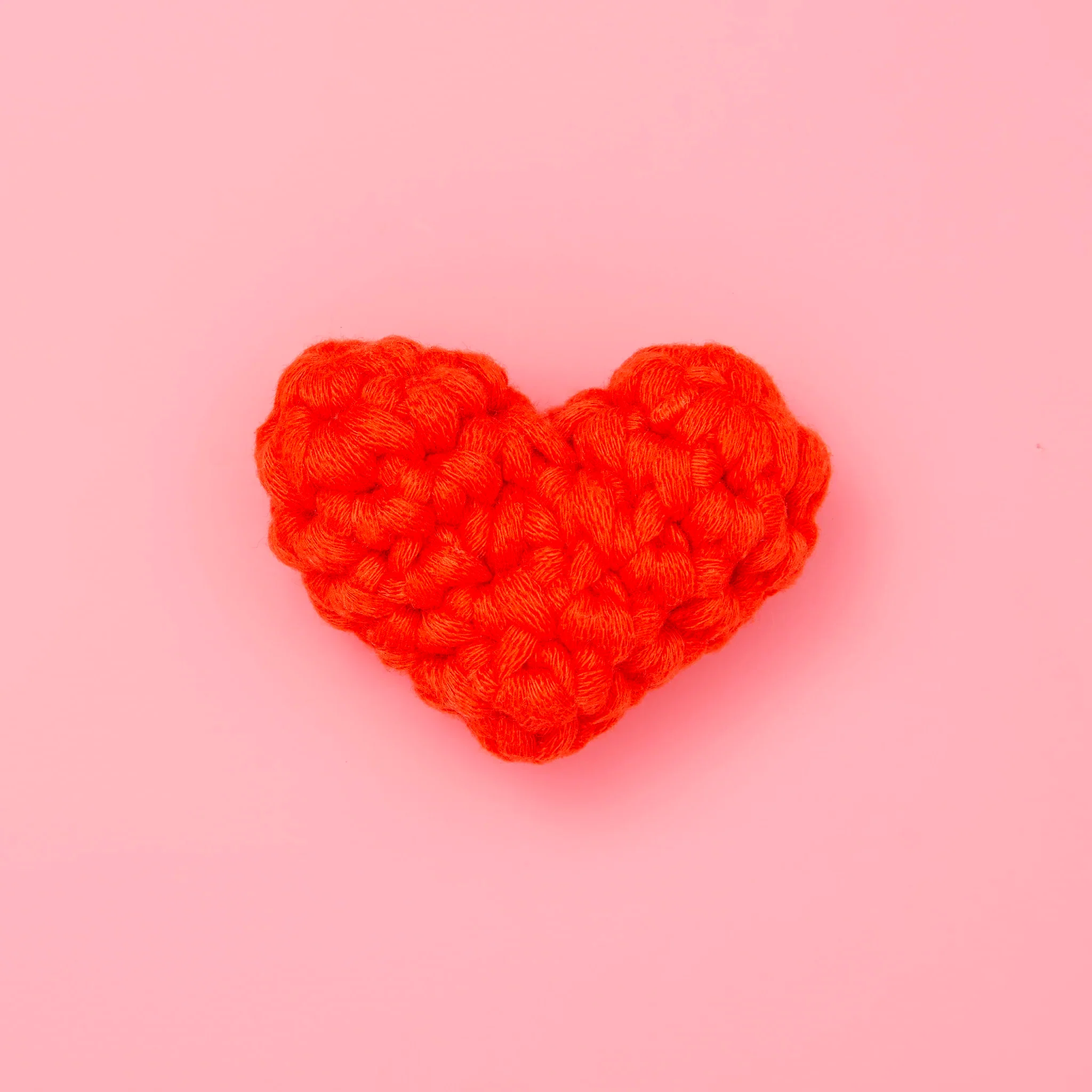 Eat, Paw, Love Bundle - Image 4