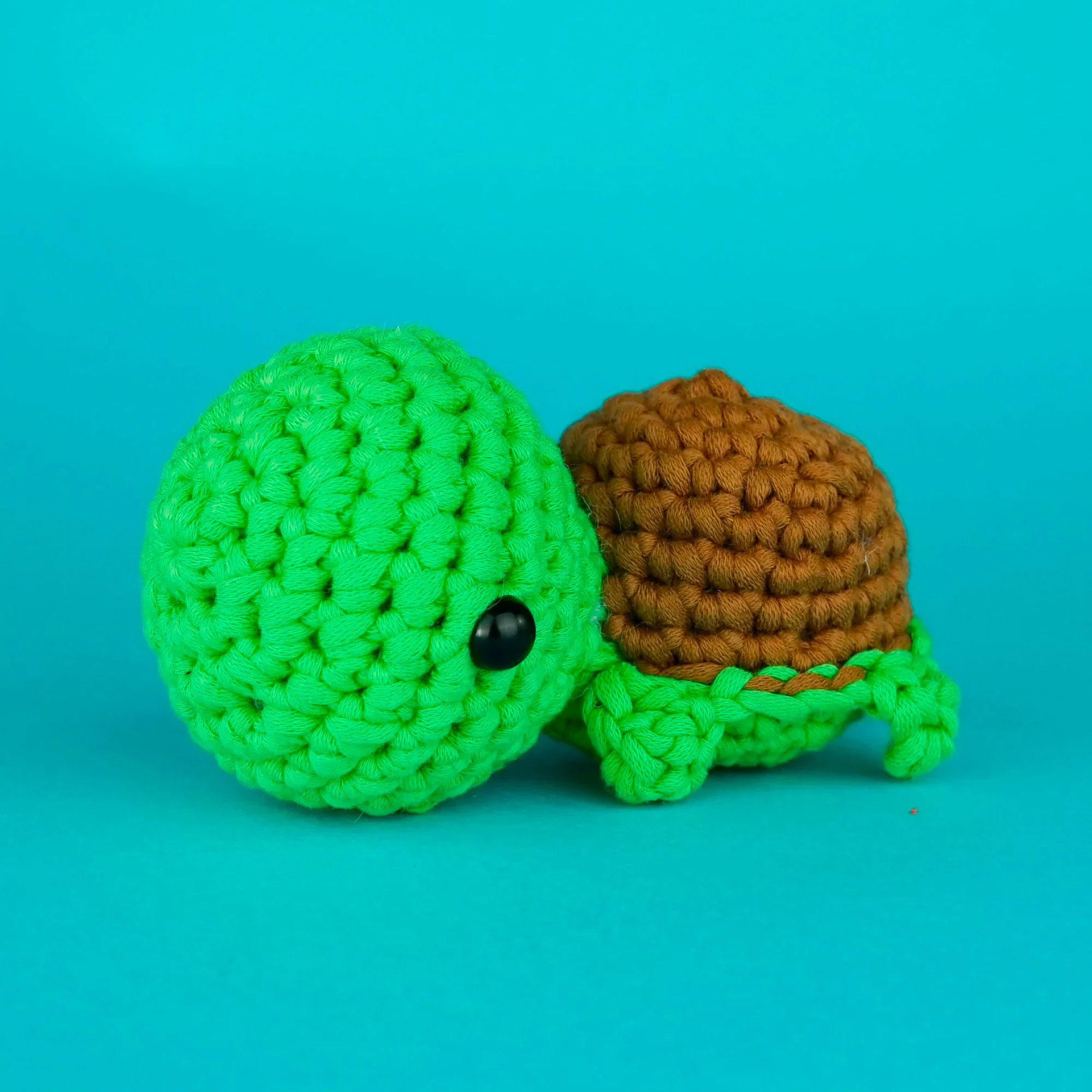 Passport Pals Bundle - Image 3